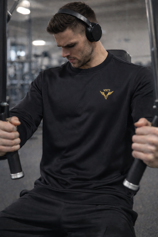 Lightweight Guardian Crewneck Sweater (Unisex)